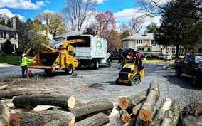 How Our Tree Care Process Works  in Wewahitchka, FL